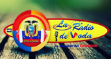 La radio de moda